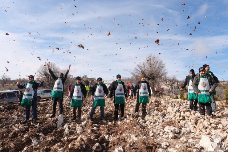 Şehidin adı sedir ormanında yaşatılıyor