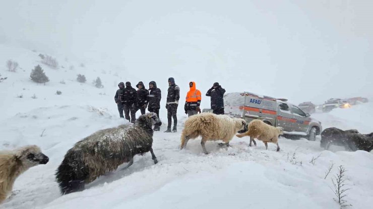 Artvin’de çığ altında kalan 3 çobandan birinin cansız bedenine ulaşıldı