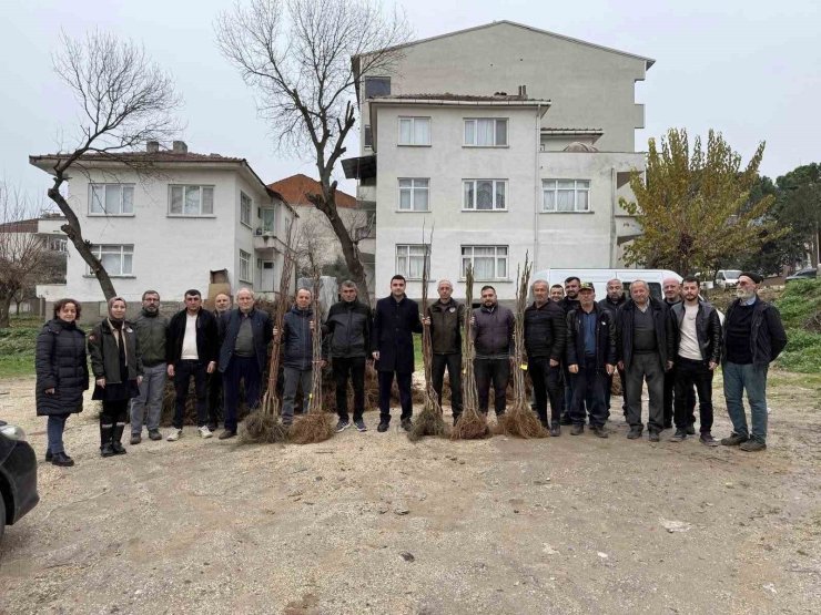 Bilecik’te çiftçilere meyve fidanı desteği