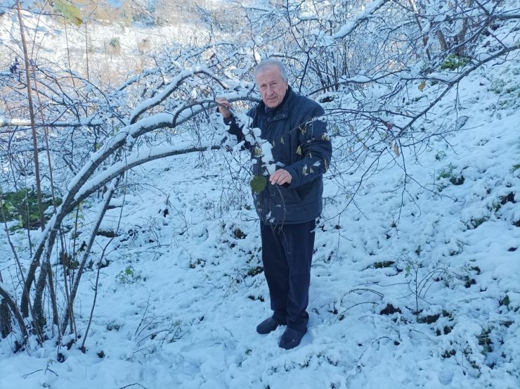 Mevsiminde yağan kar fındık üreticisini sevindirdi