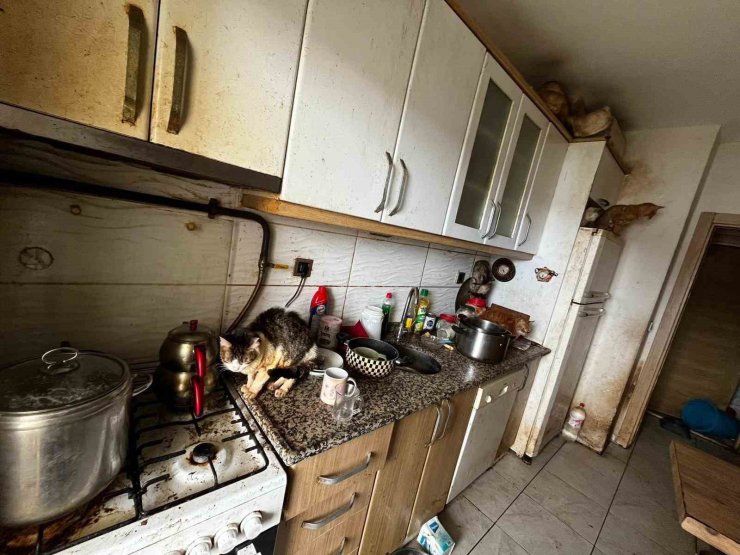 Kapı açılınca karşılaşılan manzara şoke etti