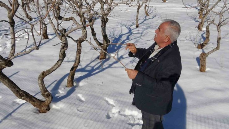 Kar yağışı Gaziantep’te çiftçinin yüzünü güldürdü