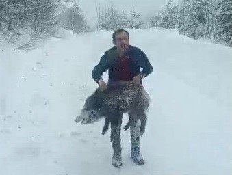 Karlı yolda domuzu elleriyle yakalayan adam konuştu: "Bir anı olsun diye yakaladım, kimseye tavsiye etmem"