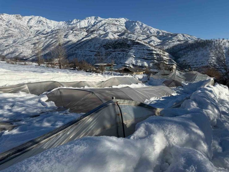 Derecik’te kardan dolayı 38 sera zara gördü