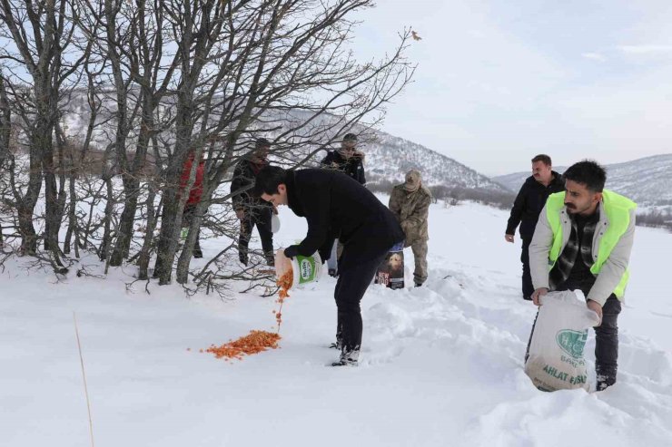 Genç’te yaban hayvanları için doğaya yem bırakıldı