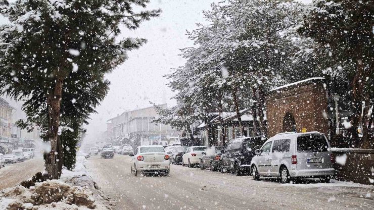 Ahlat’ta yoğun kar yağışı