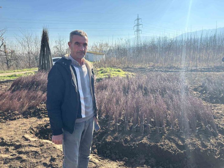 Kurulan her meyve bahçesinde "Bursa" imzası var