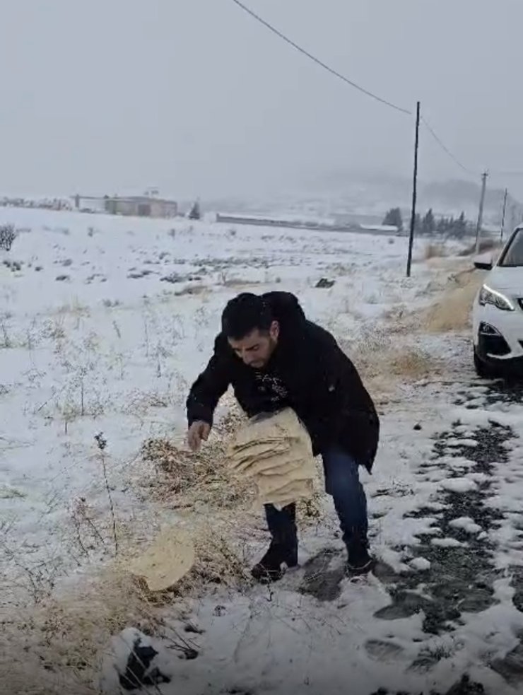 Çermik’te yaban hayvanları için doğaya yem bırakıldı