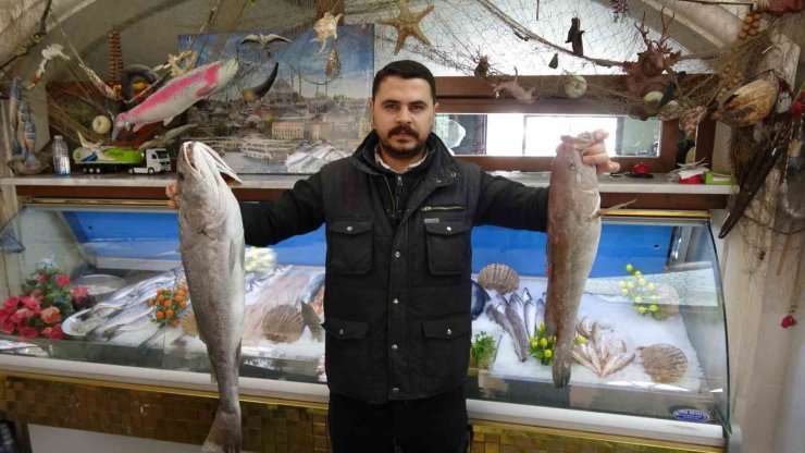 Gaziantep’te balık, kebabın tahtını sallıyor