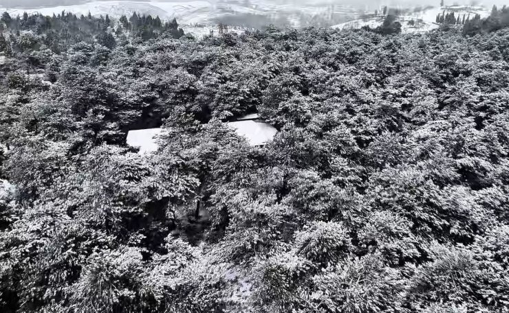 Başakşehir Şamlar Tabiat Parkı beyaza büründü