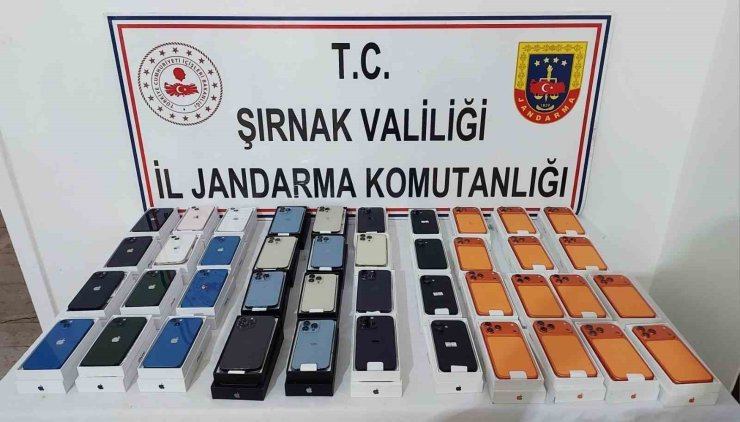Şırnak’ta jandarma ekipleri 21 milyonluk kaçak ürün ele geçirdi