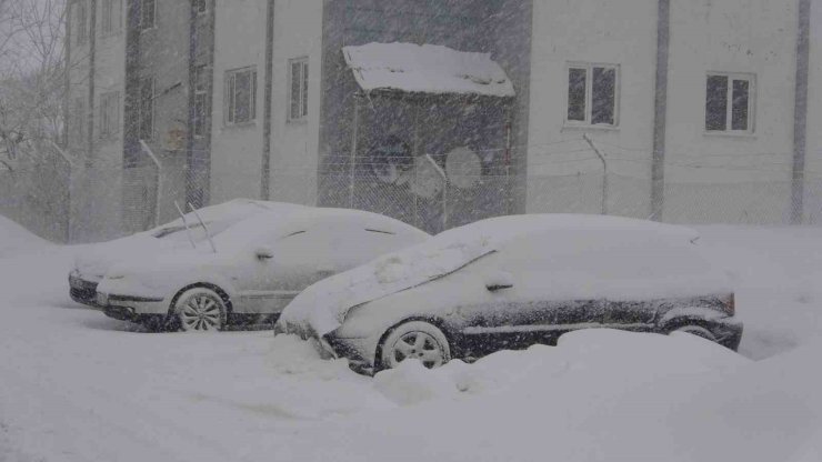 Bitlis’te 51 köy yolu ulaşıma kapandı