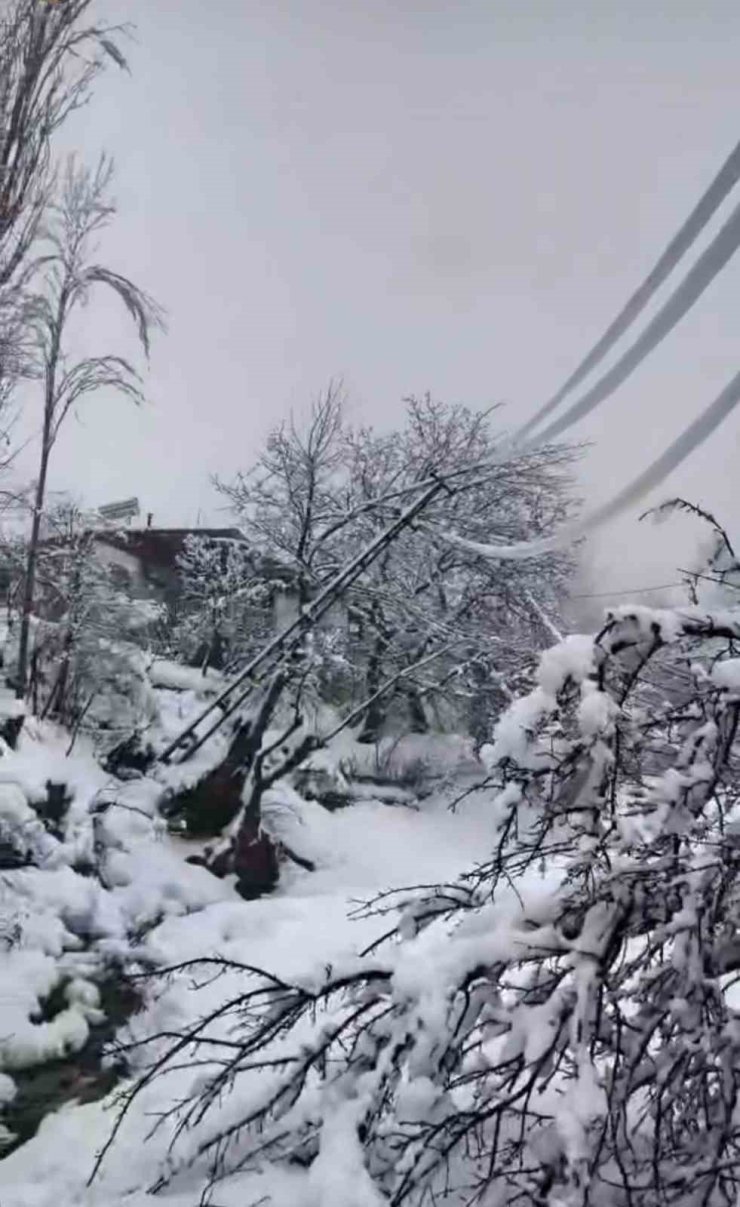 Yoğun kar elektrik direklerini devirdi