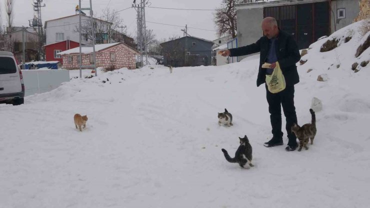 Yaklaşık 2 bin nüfuslu köyde kışın sadece bir aile yaşıyor