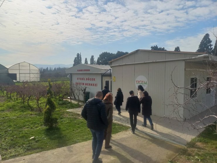 Tarım zararlılarıyla mücadelede 2026 yılı yol haritasının çizildi