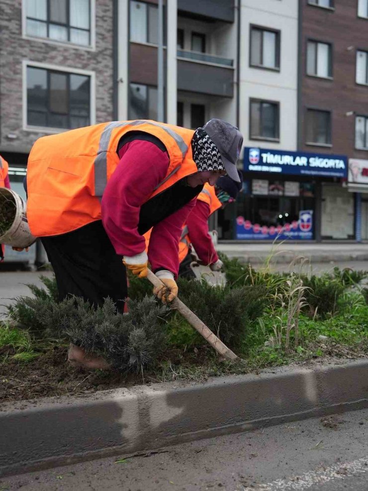Park ve yeşil alanlarda peyzaj çalışmaları sürüyor
