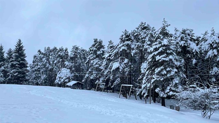 Artvin’in ünlü Kafkasör Yaylası, beyaz örtüyle sessizliğe büründü