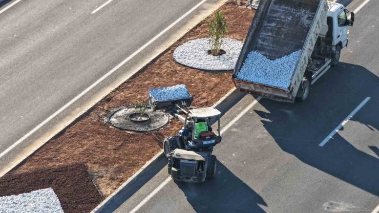 Aydın Büyükşehir Belediyesi’nden Acarlar-Şehir Hastanesi yolunda peyzaj düzenlemesi