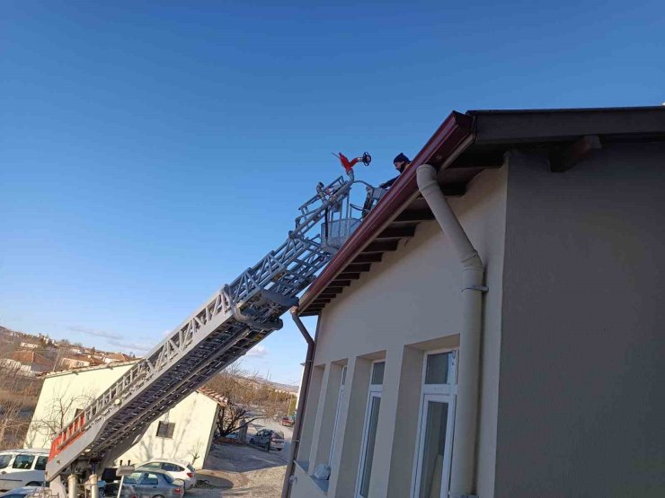 Çorum’da binanın çatısında mahsur kalan kediyi itfaiye ekibi kurtardı