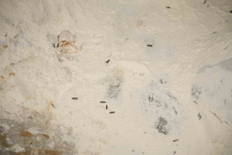 Yenişehir Belediyesi’nden YESAŞ’a hijyen cezası