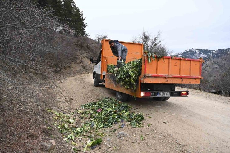 Isparta’da kışın aç kalan yaban hayvanlarına duyarlı dokunuş