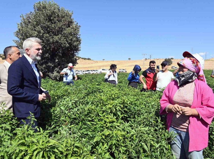 Kahramanmaraş Büyükşehir’den 2025’te çiftçiye 100 milyonluk destek