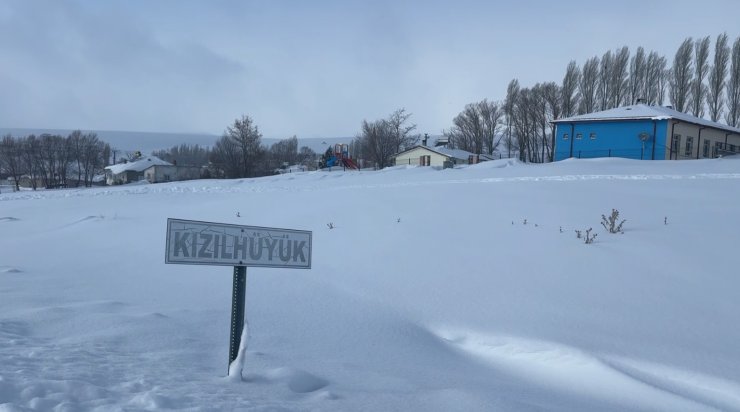 Köyün kâbusu olan kurtlar için araziye yiyecek bırakıldı
