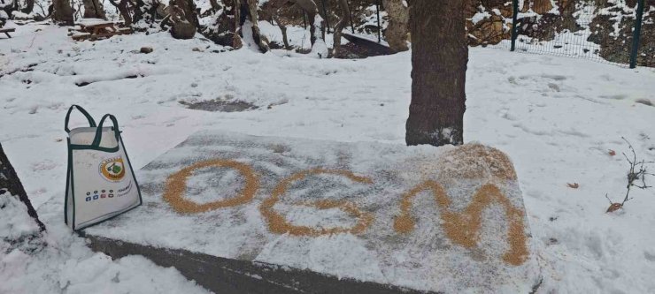 Batman’da yaban hayatı unutulmadı