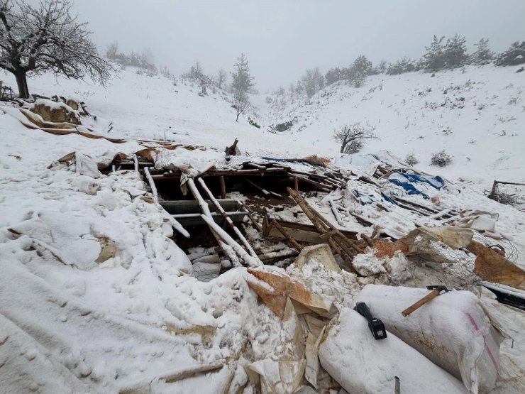 Karaman’da karın ağırlığına dayanamayan ahırın çatısı çöktü