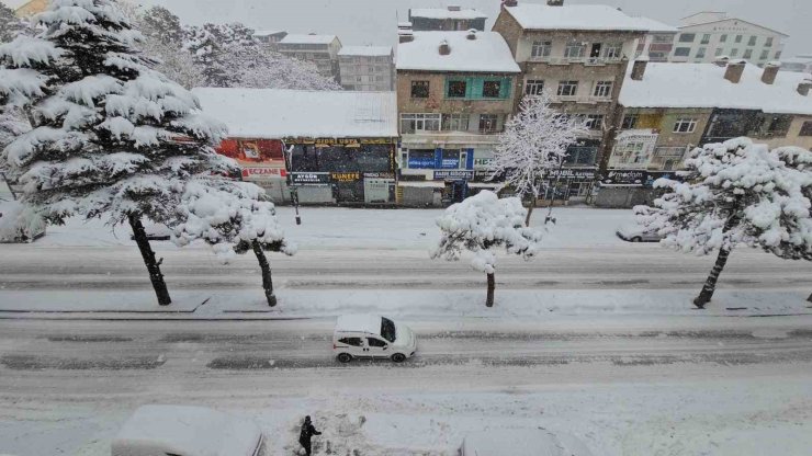 Uzmanından Bitlis için "kar ve su hasadı" uyarısı