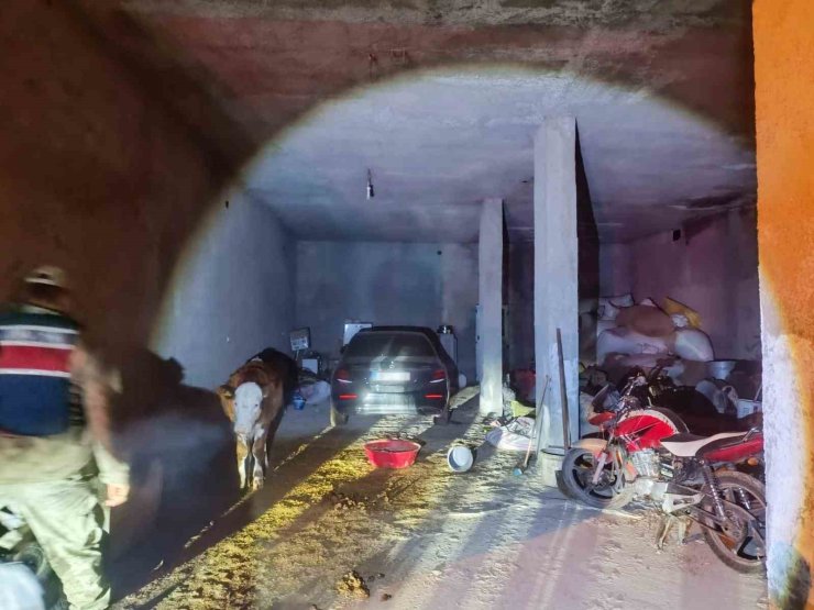 Çalıntı otomobil ahırda bulundu