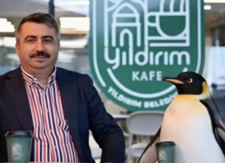 Penguen sürüden ayrılırken belediyeler boş durmadı