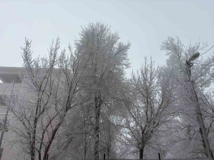 Diyadin’de yoğun sis etkili oldu
