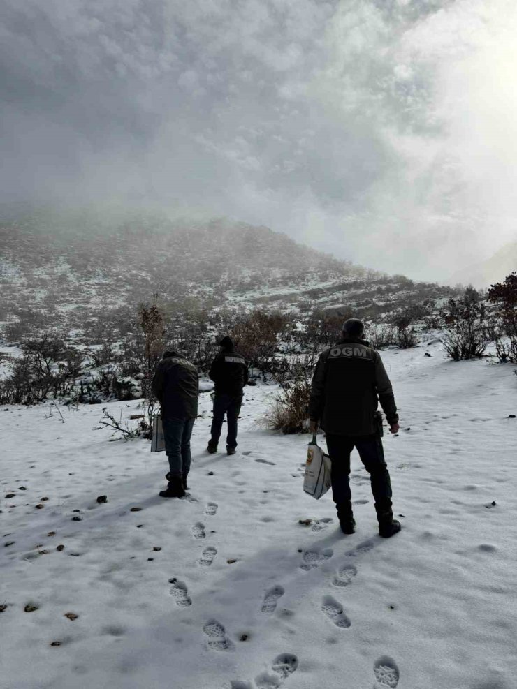 Dondurucu soğuklarda yaban hayata umut oldular