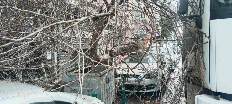 Kamyon çarptı, çınar ağacı araçların üzerine devrildi