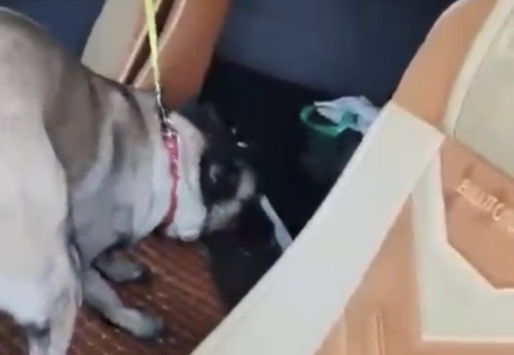 Samsun’da tırda metamfetamin ele geçirildi