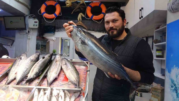 Torik tezgahlara geç geldi ama yüzleri güldürüdü