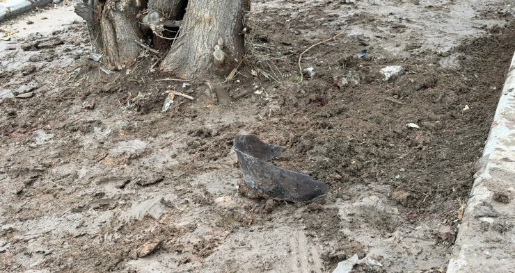 Kayganlaşan yolda kontrolden çıkan motosiklet ağaca çarptı: Kurye hayatını kaybetti