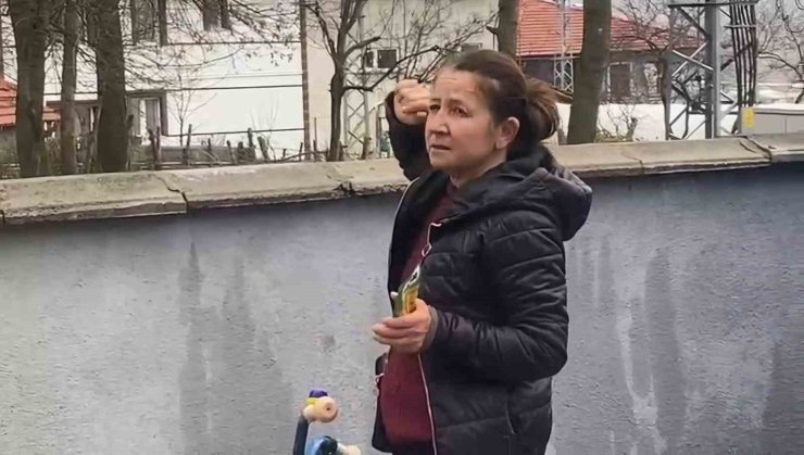 Ağaçta mahsur kalan kedi bir haftadır kurtarılmayı bekliyor