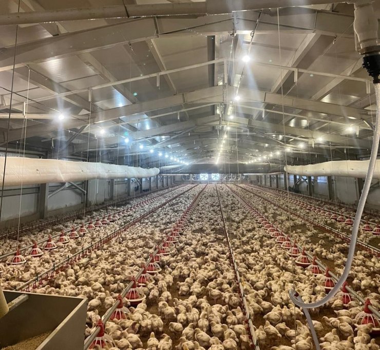 Kırsalda üretime 33,6 milyon liralık can suyu