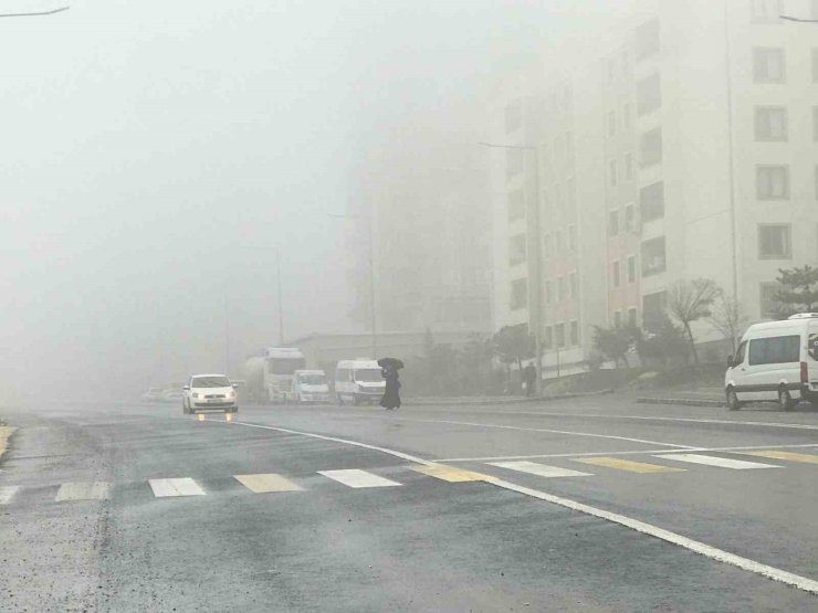 Şanlıurfa’da yoğun sis ve yağmur etkili oluyor