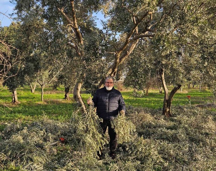 İncir ve Zeytin Bilimsel Araştırmalar Akademisi’nden yeni proje