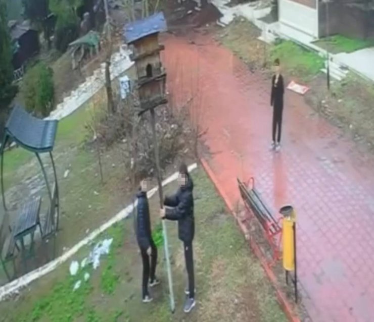 Adana’da parktaki kuş yuvasını parçaladılar