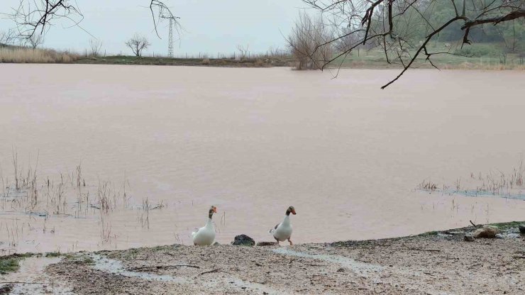 Kuruyan Sülüklü Göl yeniden canlandı