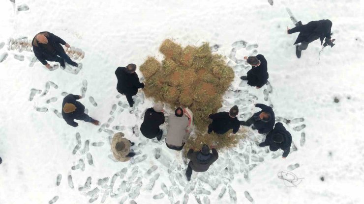 Muş’ta yaban hayatı için doğaya yem bırakıldı