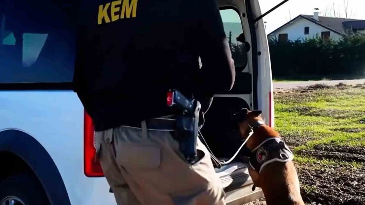 Bolu’da 11 farklı adrese uyuşturucu operasyonu