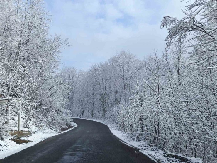 Ordu’nun yüksek kesimlerinde kar manzarası