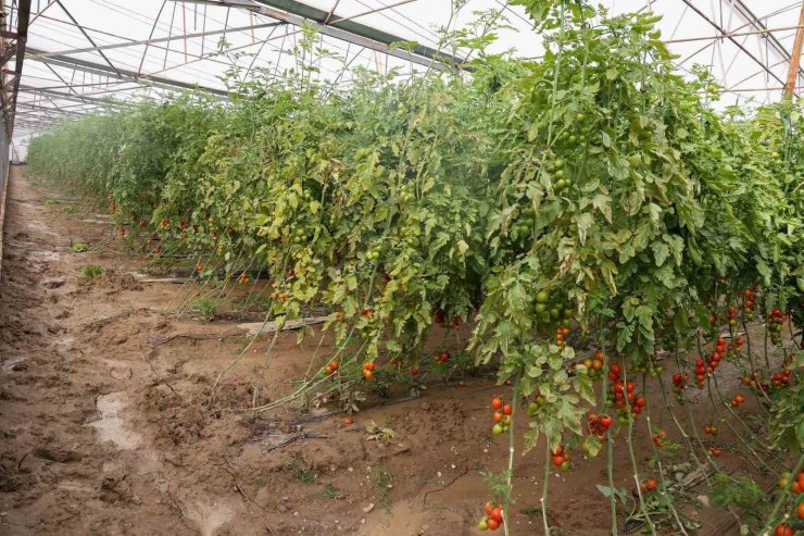 Aksu’da sağanak, sel, hortum ve doludan 23 mahalle, 500 çiftçi zarar gördü