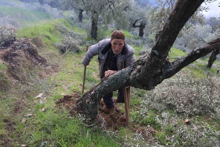 Film sahnesi değil gerçek hayat