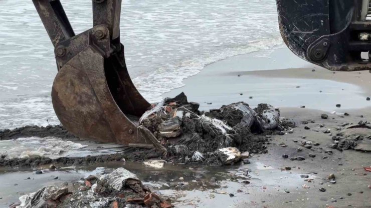 Samsun’da denize atılan çuvallar dolusu inşaat atığı temizlendi, inceleme başlatıldı